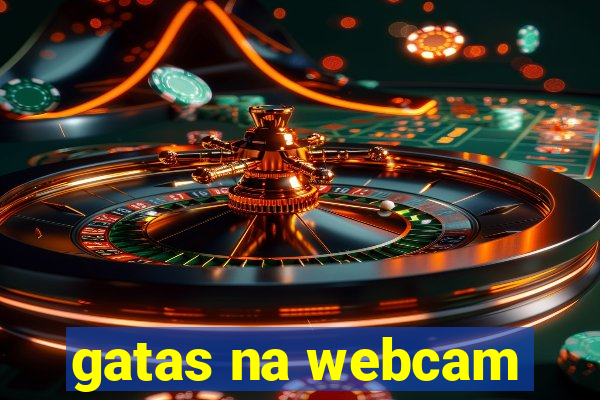 gatas na webcam